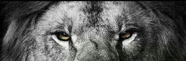 ant_tranter's profile banner image
