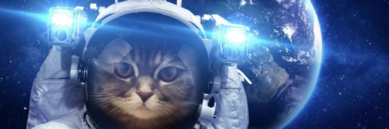 mgklkn's profile banner image