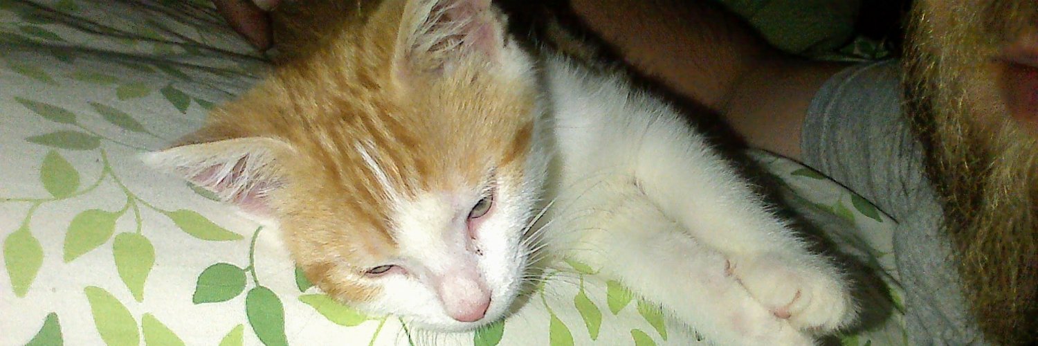 CoffeeChick70 banner