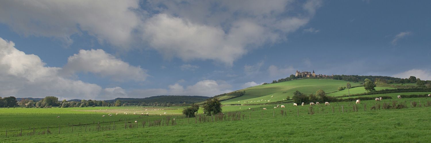 kwsym's profile banner image
