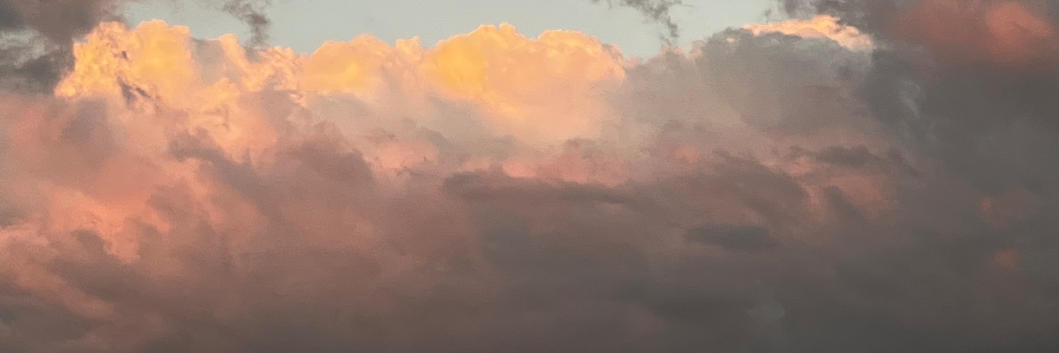 MaryamMakeba's profile banner image