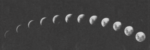 AnneSoRPGPNM's profile banner image