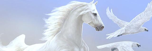 Empress907's profile banner image
