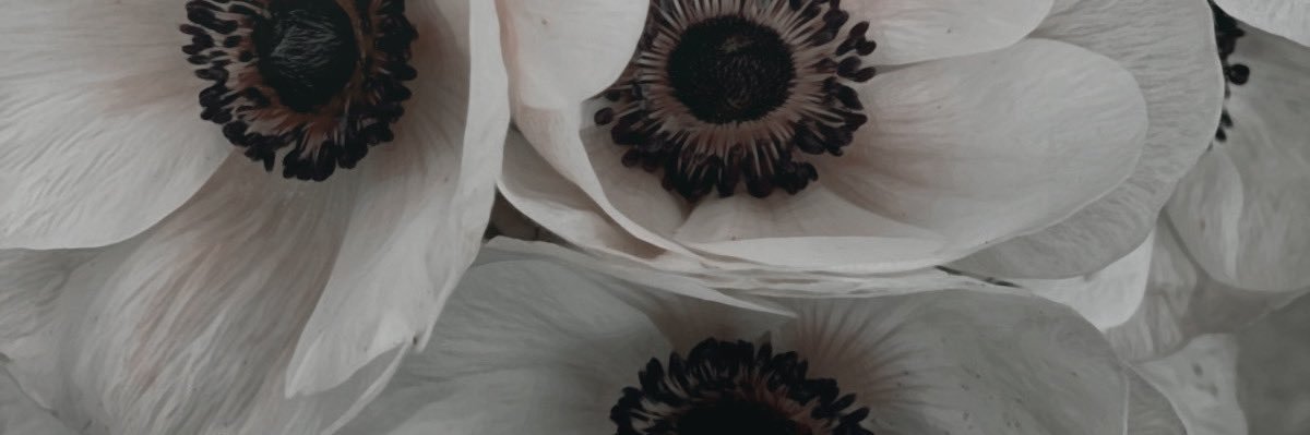 Eleadora 𝕽. banner