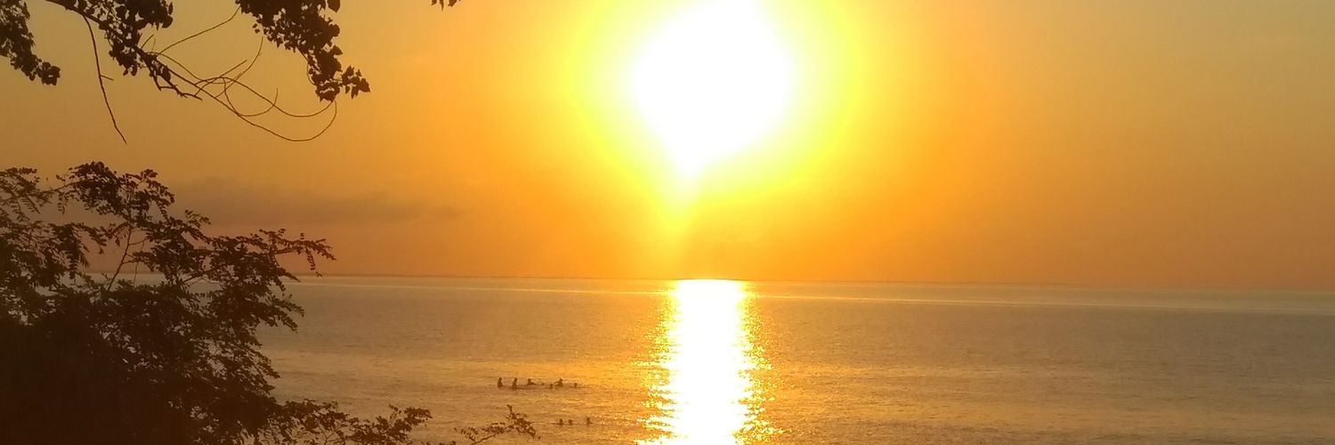 alvalv52's profile banner image