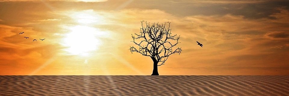 zebman31's profile banner image
