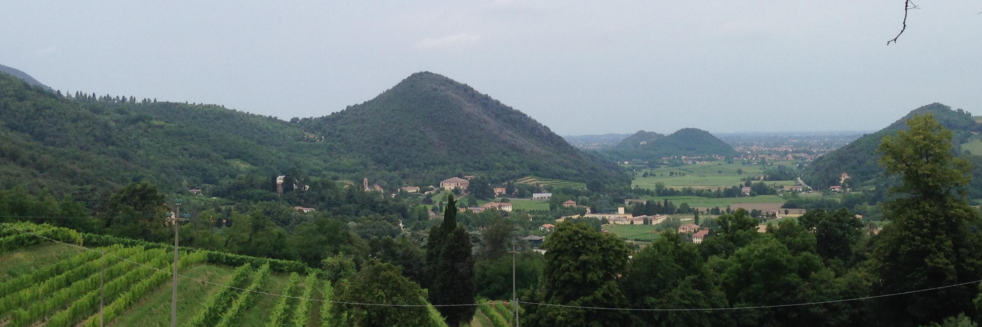 ComuneTorreglia's profile banner image