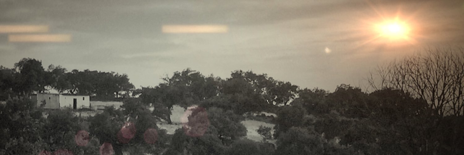 raulet_78's profile banner image