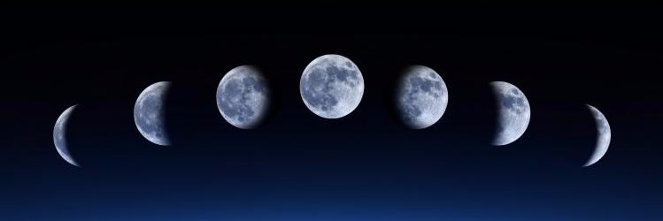 bittersweet616's profile banner image