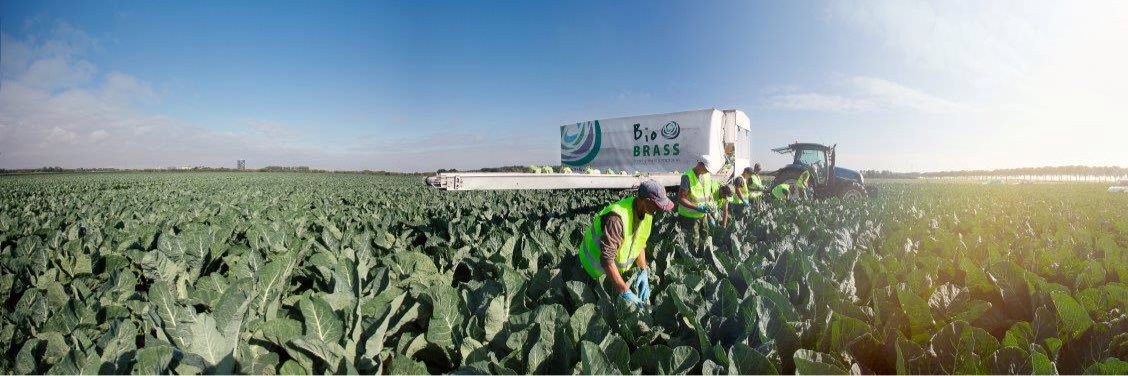 Gerjan Snippe banner