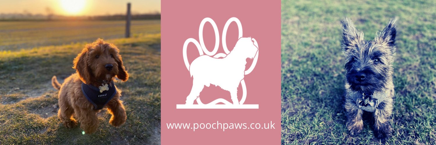 poochpaws's profile banner image