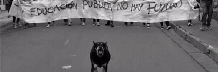 Antonicio de la verga banner