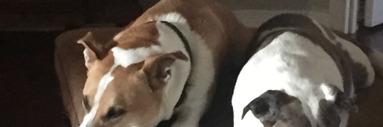 SandraJHilton's profile banner image