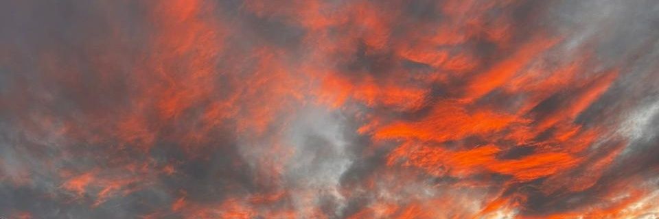 _roarroyo's profile banner image