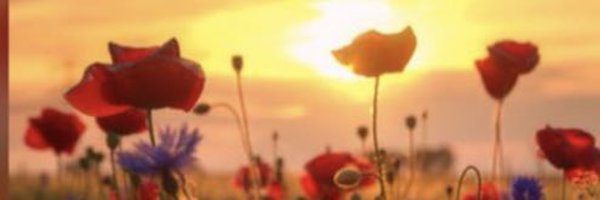 andrew_neal7 Profile Banner