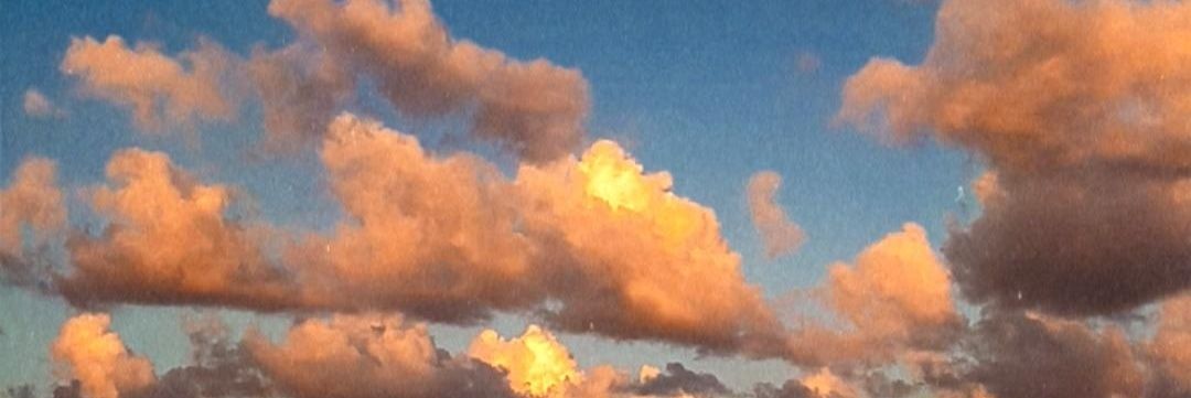 __annalys's profile banner image