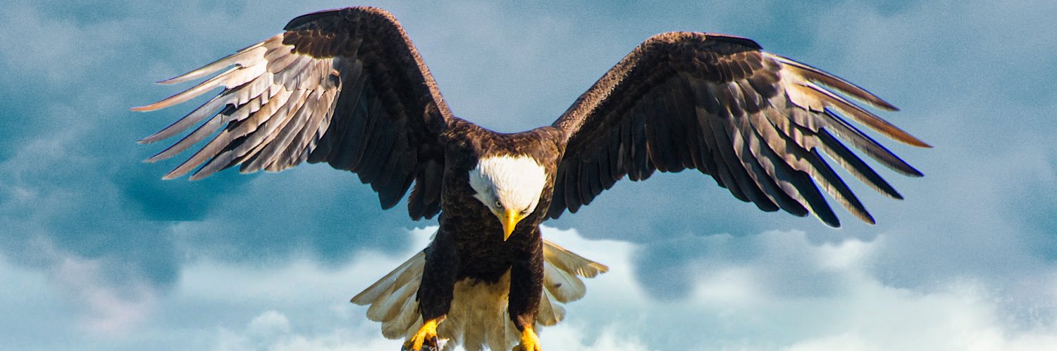 DandaAdiel's profile banner image