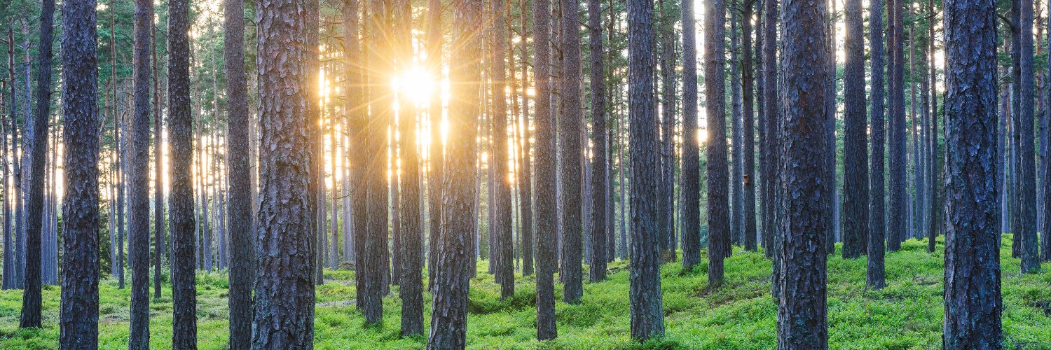 Installatörsföretagen banner