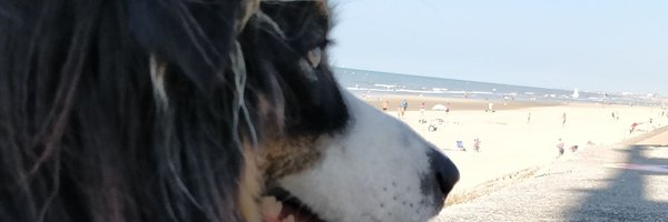 Weamix_ Profile Banner