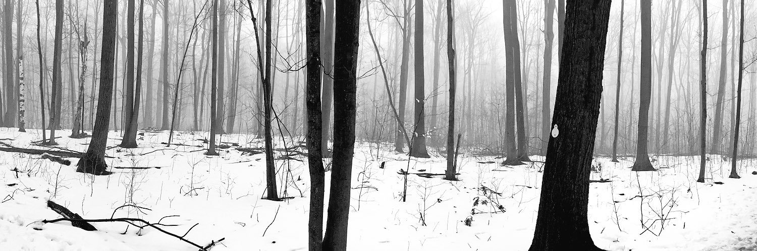 Geoffellows's profile banner image