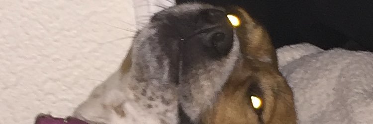boblaird5's profile banner image