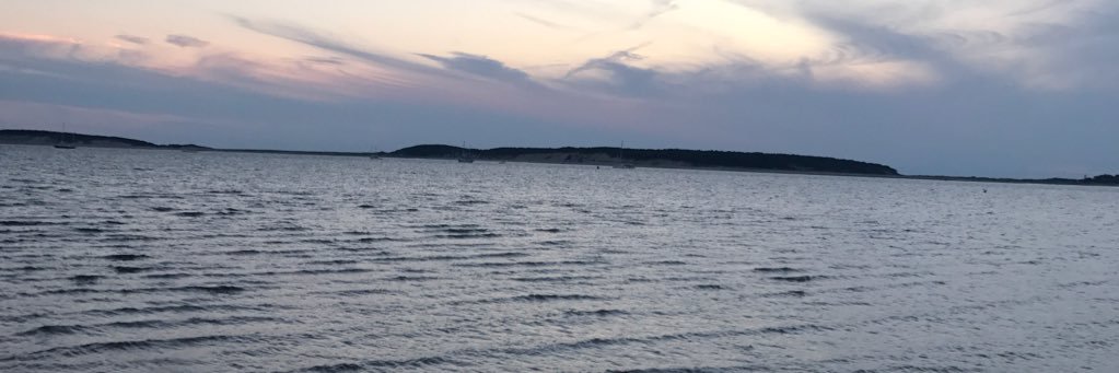 alimmitchell's profile banner image