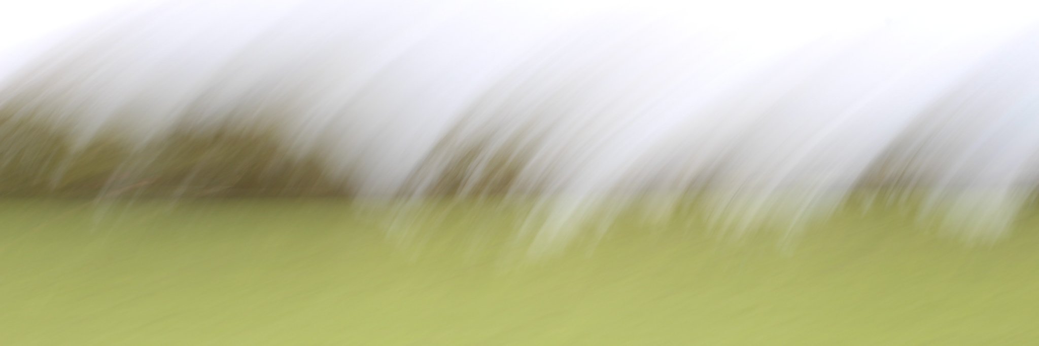 s0rro's profile banner image