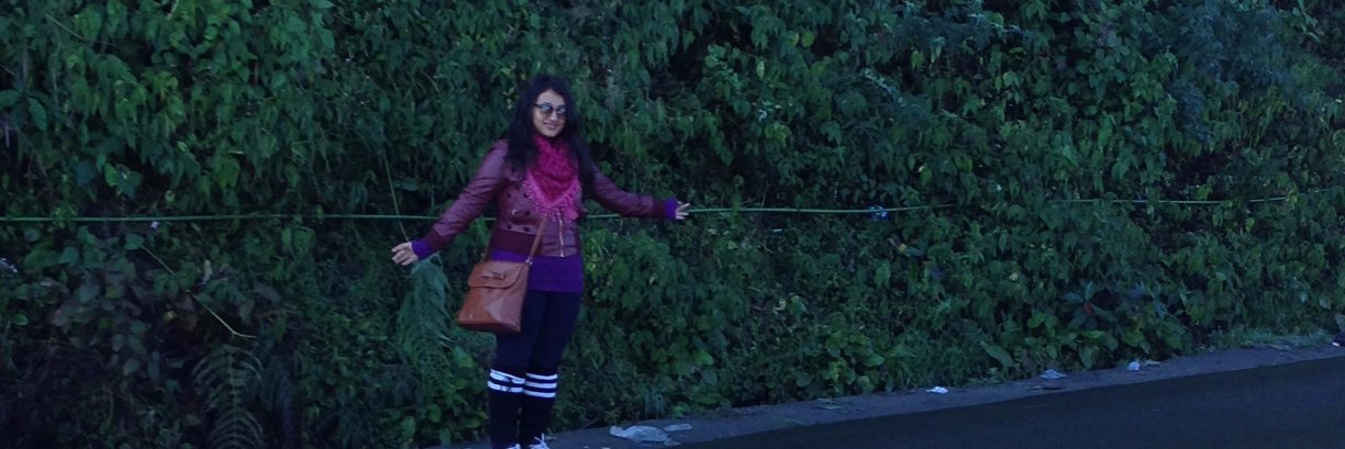 shubbechhya's profile banner image