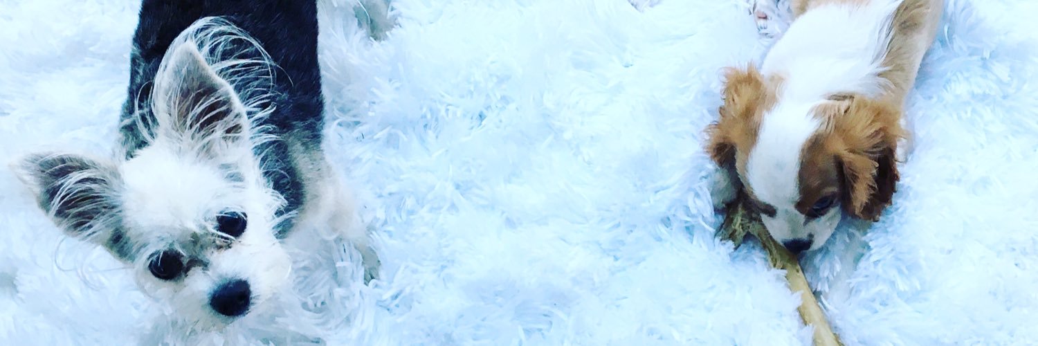 Kermit banner
