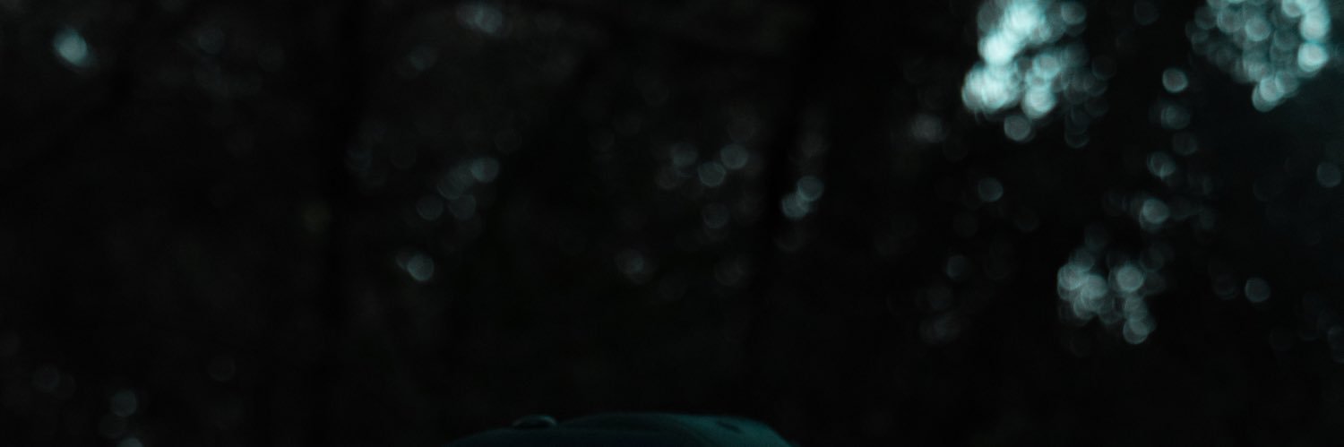 rikolebasi's profile banner image