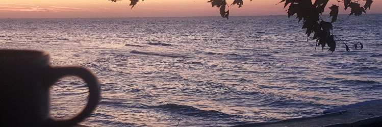 earabiyya's profile banner image