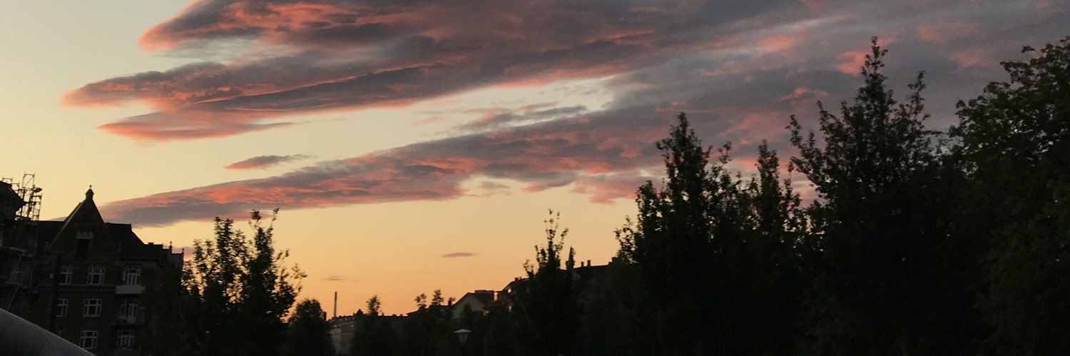 CatSeidelin's profile banner image