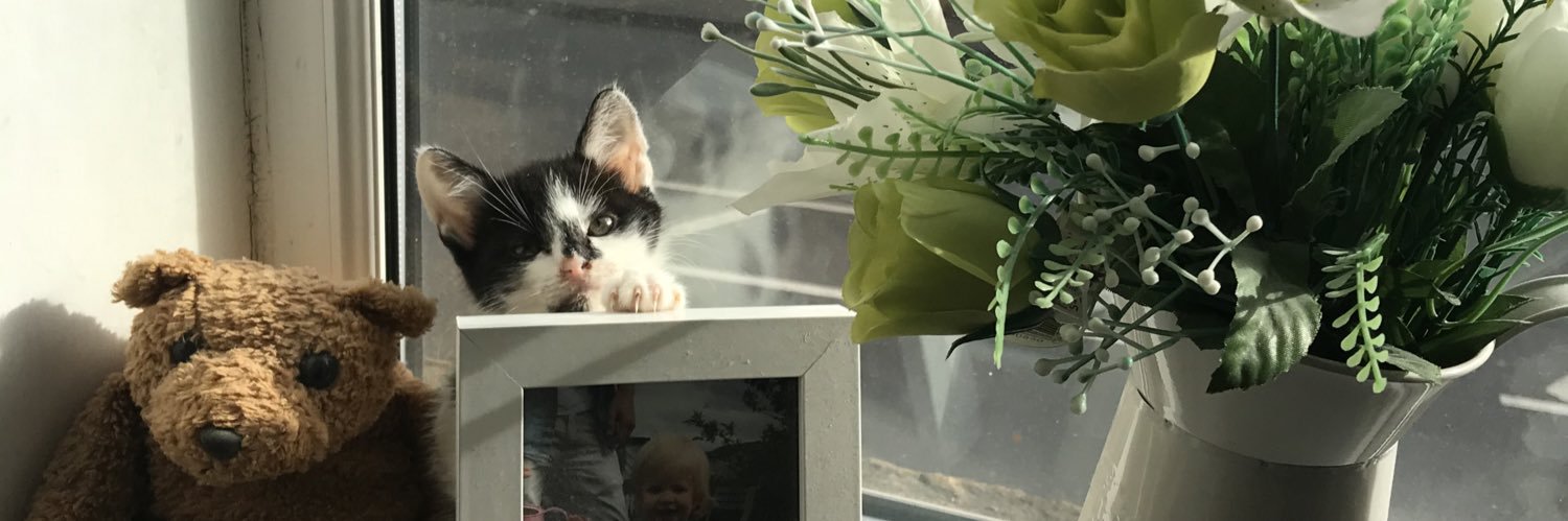 Kate Smallbones 🌻 banner