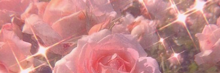 🧸𝕡𝕚𝕜𝕠✨ banner