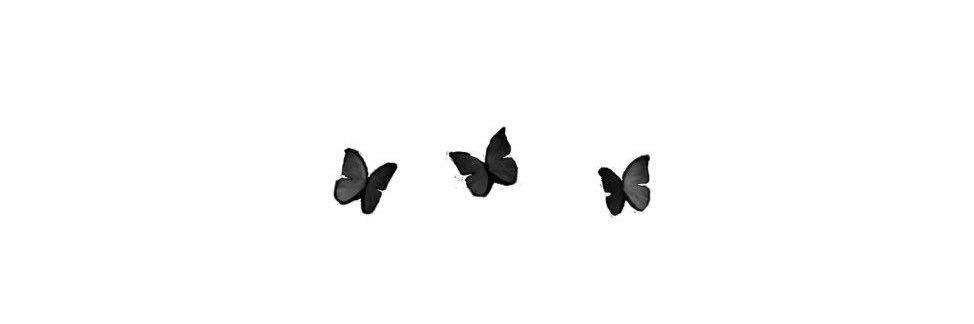 ErnesFagotti's profile banner image