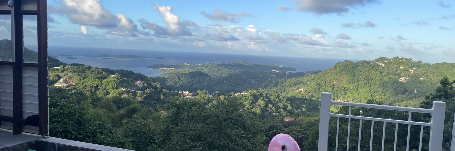 mxthieujvt1's profile banner image
