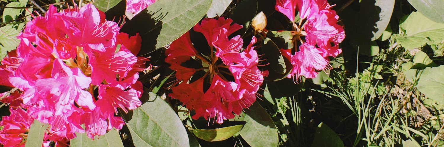 CooperSian's profile banner image