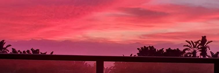 ZiskaHaak's profile banner image