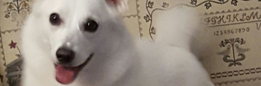 beckicrotzer's profile banner image