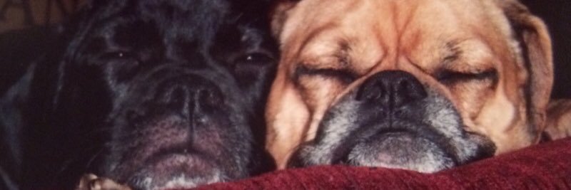 nicholemooney99's profile banner image