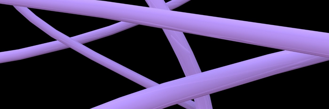 NeasaCarroll's profile banner image