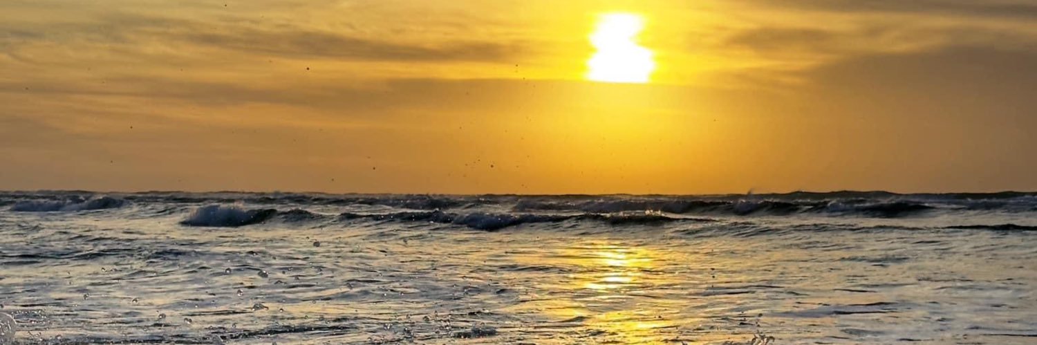 Sara Dehner 🇺🇸🤍🏝️ banner