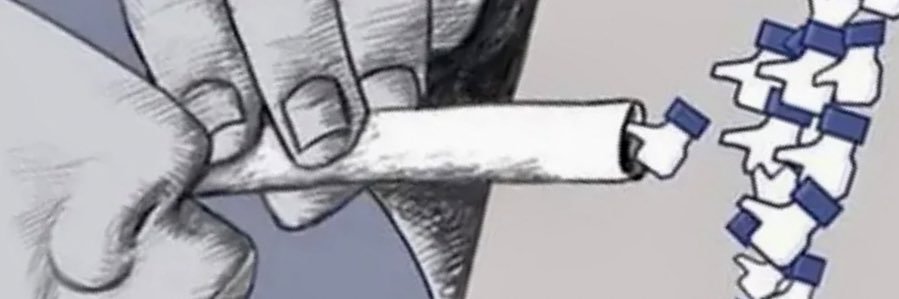 AgustinaLassi's profile banner image