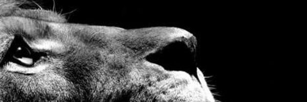 Fran__Roman Profile Banner