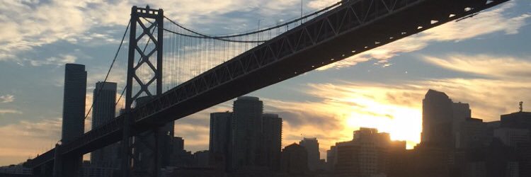 roQsteady's profile banner image