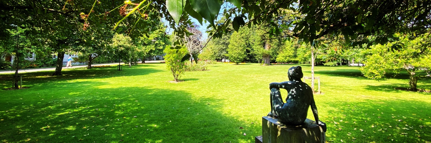 UCC Language Centre banner