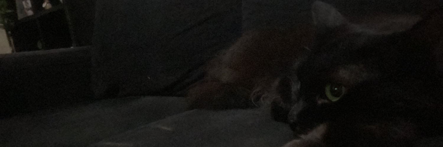 BabihFreire's profile banner image