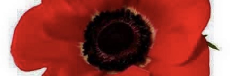 NeilWaka's profile banner image