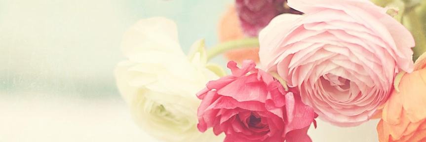 jodiannee's profile banner image