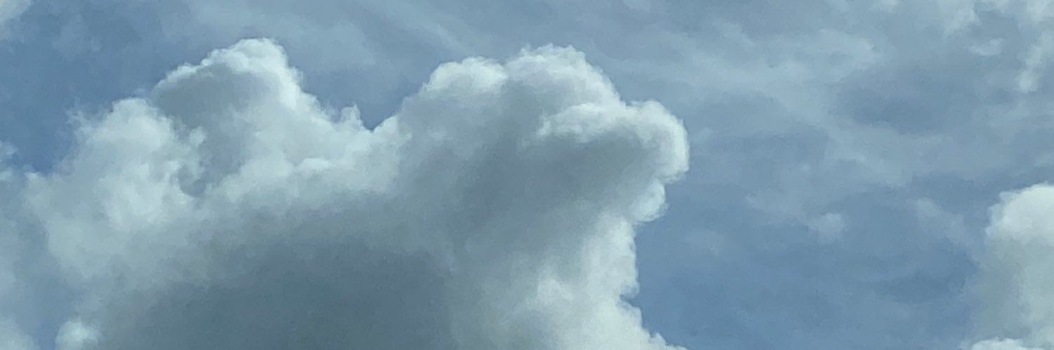 ely_nv's profile banner image